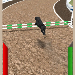 Dog Racing Simulator