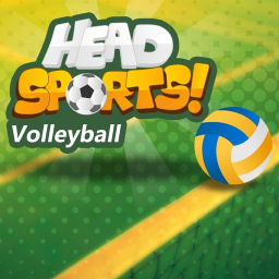 Head Sports Volleyball