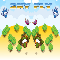 Sky Fly