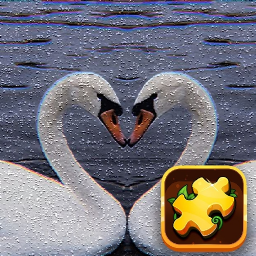 Swan Puzzle Challenge